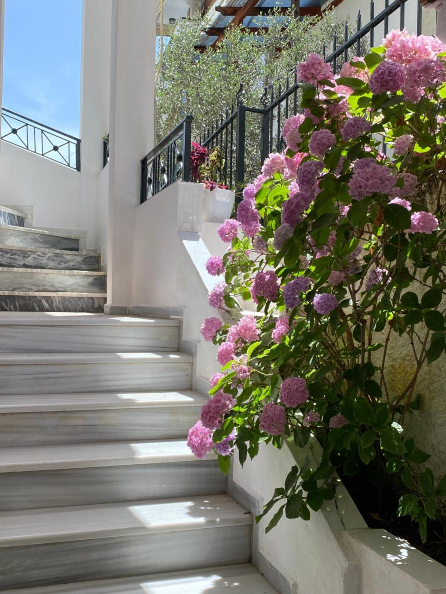 公寓 Vila Xhani